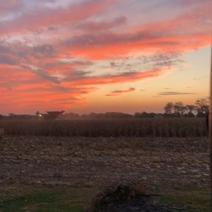 Meet your Posher, Kellen